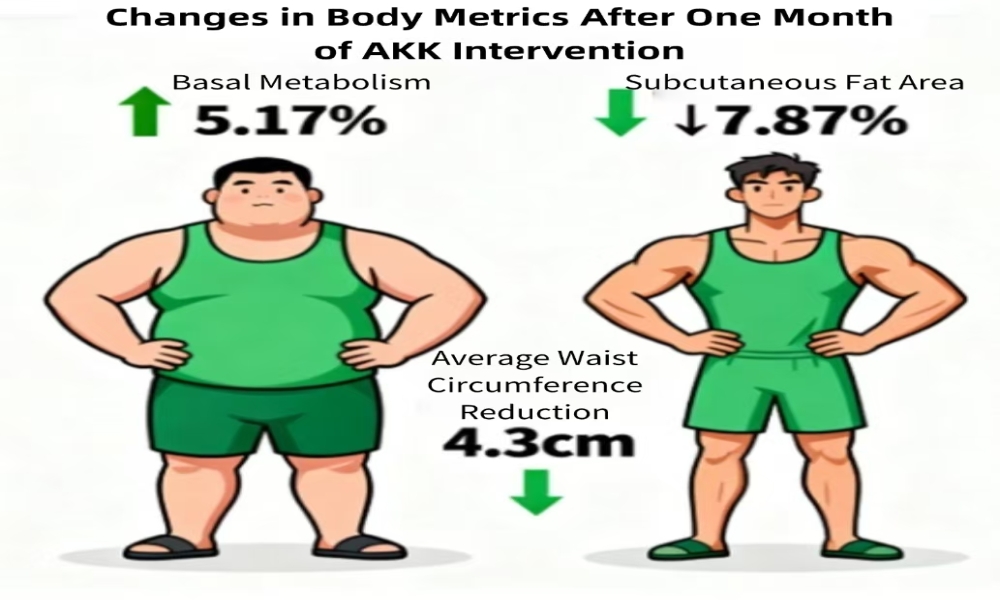 AKK Leads a New Path for Weight Loss and Metabolic Interventions